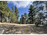 30317 Aspen Turn - Photo 1