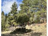 30317 Aspen Turn - Photo 11