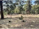 30317 Aspen Turn - Photo 12