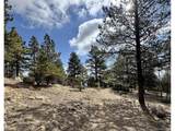 30317 Aspen Turn - Photo 16