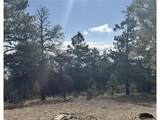 30317 Aspen Turn - Photo 19