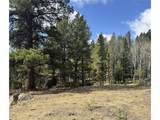 30317 Aspen Turn - Photo 3