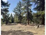 30317 Aspen Turn - Photo 5