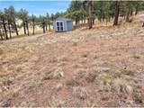 113 Blackberry Ct - Photo 14