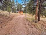 113 Blackberry Ct - Photo 15