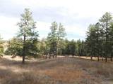 8055 Acoma Dr - Photo 16
