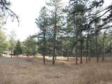 8055 Acoma Dr - Photo 26