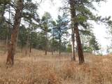 8055 Acoma Dr - Photo 5