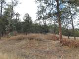 8055 Acoma Dr - Photo 8