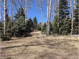 2664 Grojean Dr - Photo 1