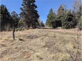 2664 Grojean Dr - Photo 11