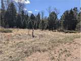 2664 Grojean Dr - Photo 12