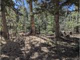 2664 Grojean Dr - Photo 5