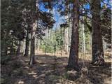2664 Grojean Dr - Photo 8
