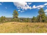13144 Pine Country Ln - Photo 29