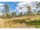 13144 Pine Country Ln - Photo 32