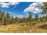 13144 Pine Country Ln - Photo 35