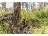 13144 Pine Country Ln - Photo 37