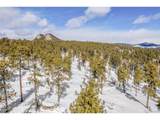 13144 Pine Country Ln - Photo 39
