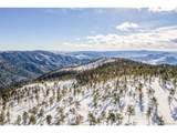 13144 Pine Country Ln - Photo 41