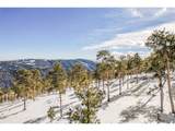 13144 Pine Country Ln - Photo 45