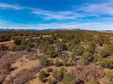 12222 Elk Run Rd - Photo 11