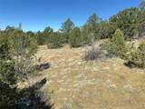 12222 Elk Run Rd - Photo 18