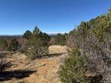 12222 Elk Run Rd - Photo 19