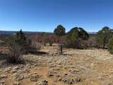 12222 Elk Run Rd - Photo 20