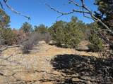 12222 Elk Run Rd - Photo 23