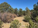 12222 Elk Run Rd - Photo 26