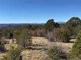 12222 Elk Run Rd - Photo 27