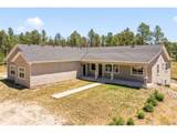 13355 Pinery Dr - Photo 2
