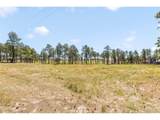 13355 Pinery Dr - Photo 42