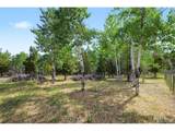 27887 Richmond Hill Rd - Photo 19