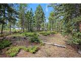 27887 Richmond Hill Rd - Photo 23