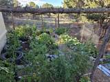 48 Crestone Overlook - Photo 25