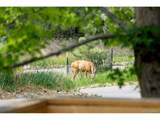 8587 Thunderbird Rd - Photo 37