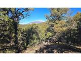 4510 Iannelli Rd - Photo 10