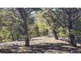 4510 Iannelli Rd - Photo 17
