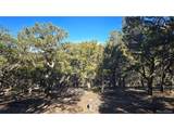 4510 Iannelli Rd - Photo 18