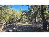 4510 Iannelli Rd - Photo 19