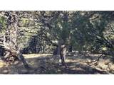 4510 Iannelli Rd - Photo 23