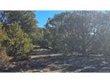 4510 Iannelli Rd - Photo 25