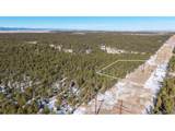 10775 Hardy Rd - Photo 18