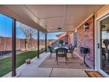 29 Frances Pl - Photo 22