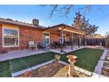 29 Frances Pl - Photo 24