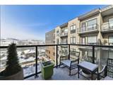 20 Wilcox St - Photo 18