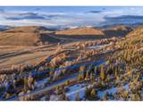  County Road 620 - Photo 19