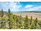 0 Trout Creek Ln - Photo 10
